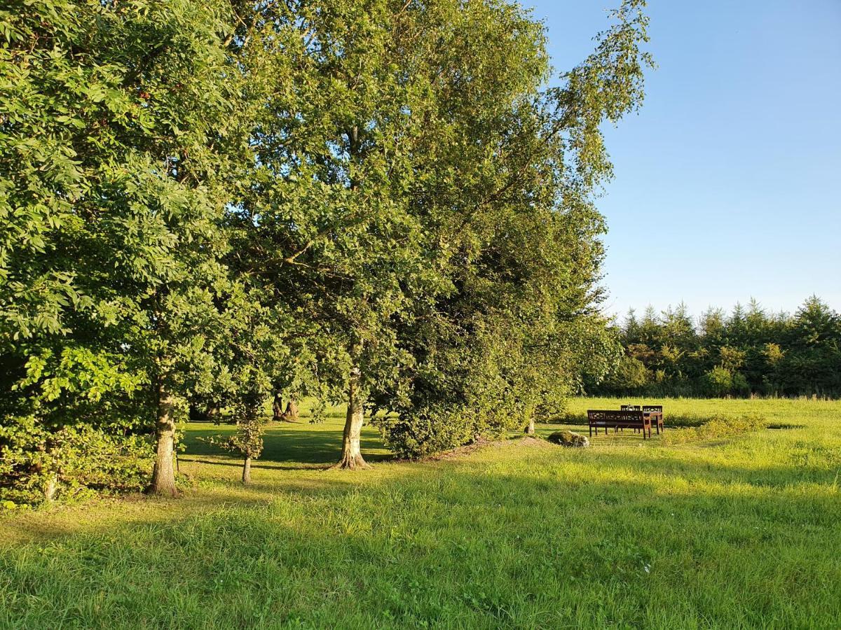 Solbjerg Skov B&B Екстер'єр фото